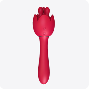 2 in 1 Rose 9 Mode Clitoral G-Spot Massage Masturbator