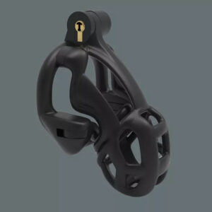 Double Lock Design Male Chastity Device