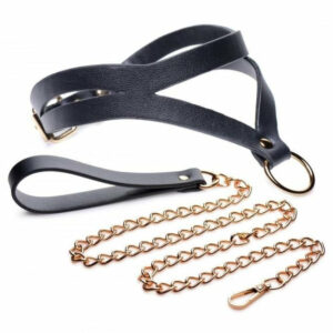 Sexbuyer Black And Gold Collar With Leash Kit